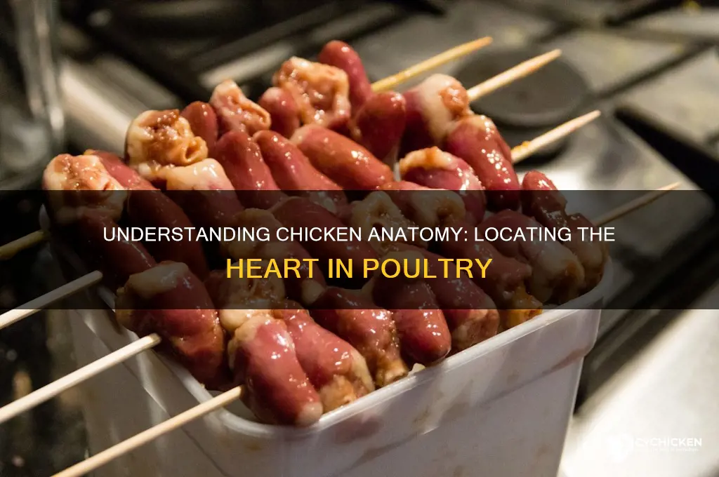 where is a chicken