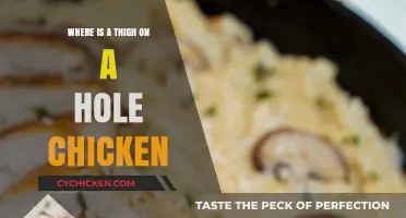 Locating the Thigh on a Whole Chicken: A Simple Guide