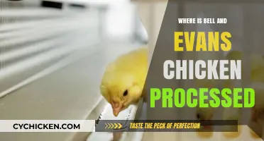Where is Bell & Evans Chicken Processed? A Detailed Guide