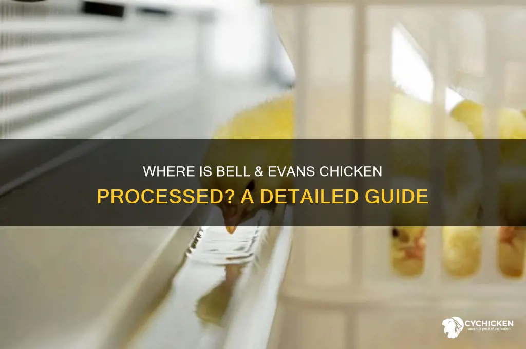 where is bell and evans chicken processed