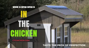 Where is Bryan? Unraveling the Mystery in the Chicken Coop