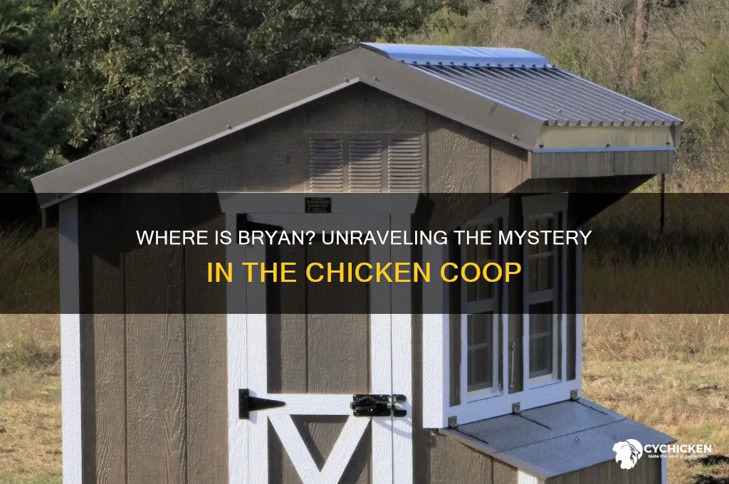 where is bryan bryan is in the chicken
