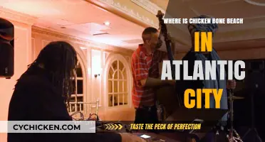 Discovering Atlantic City's Hidden Gem: Chicken Bone Beach Location Guide