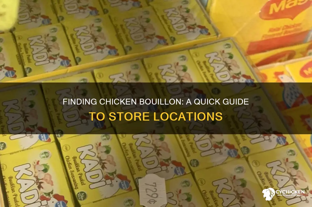 where is chicken bouillon in the store
