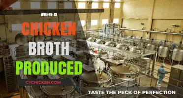 Exploring the Global Production Hubs of Chicken Broth