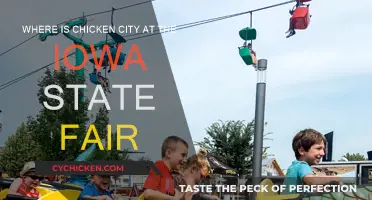 Iowa State Fair: Discovering Chicken City