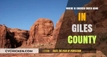 Discovering Chicken Creek Road: A Hidden Gem in Giles County