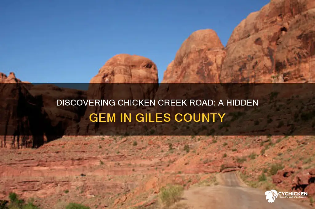 where is chicken creek road in giles county