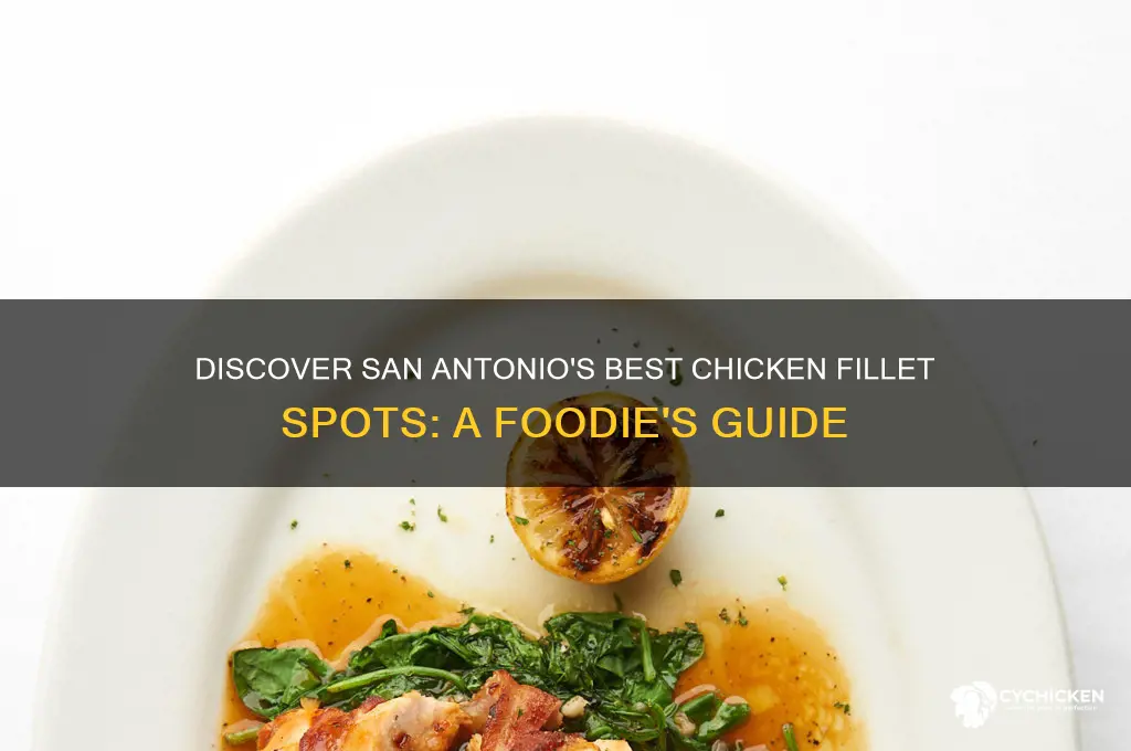 where is chicken fillet in san antonio texas