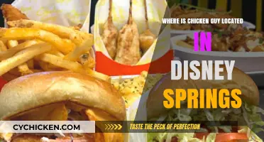 Discover Chicken Guy's Exact Location at Disney Springs: A Foodie's Guide