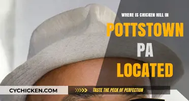 Discovering Chicken Hill: A Hidden Gem in Pottstown, PA