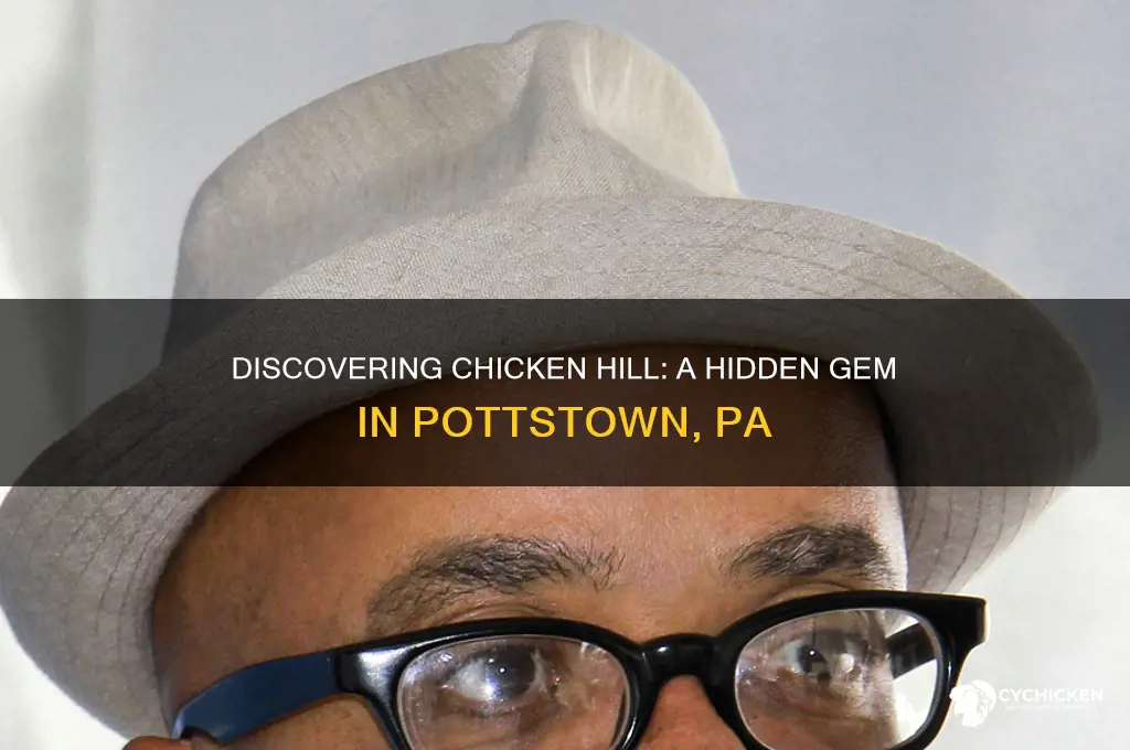 where is chicken hill in pottstown pa located