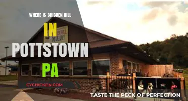 Discovering Chicken Hill: A Hidden Gem in Pottstown, PA
