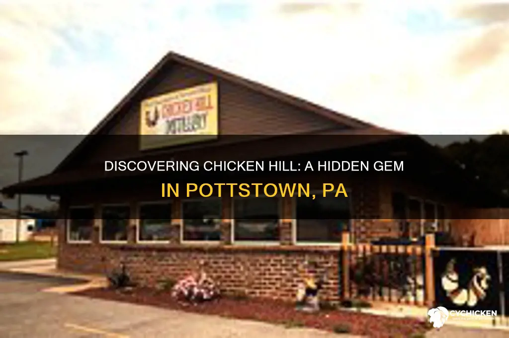 where is chicken hill in pottstown pa