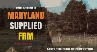 Maryland's Chicken Supply: Local Farms or Out-of-State Sources?