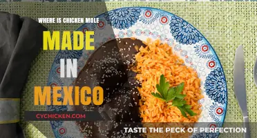 Exploring Mexico's Culinary Regions: Where Authentic Chicken Mole is Made