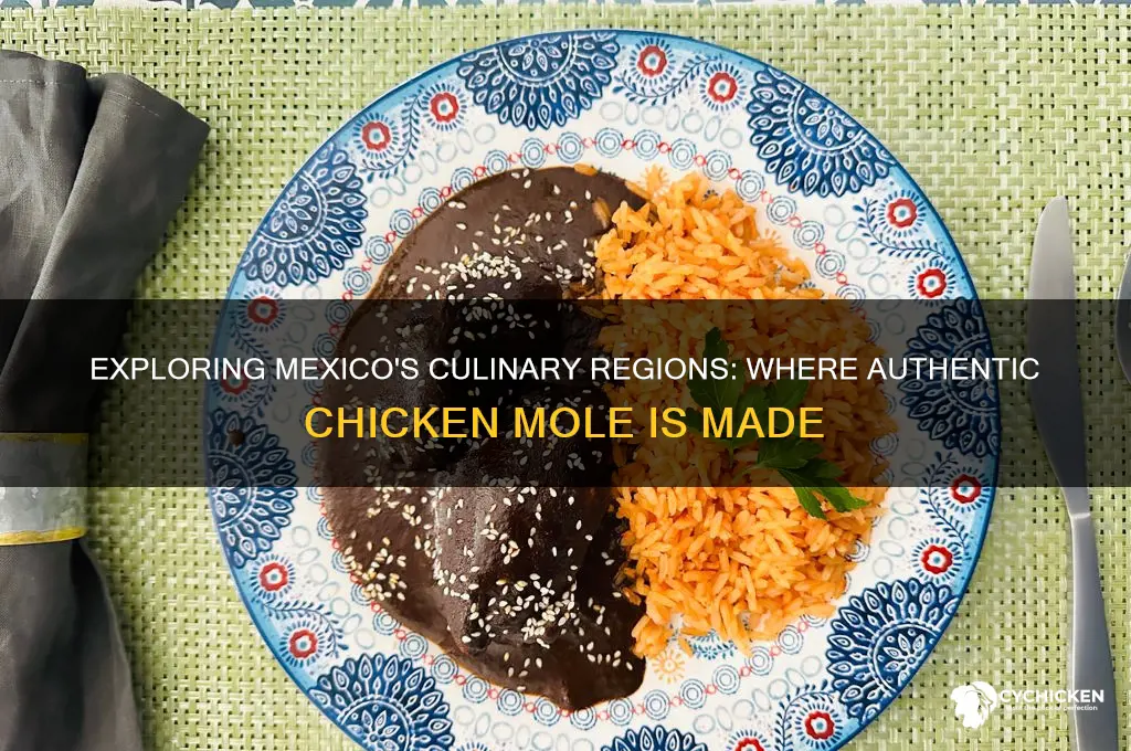 where is chicken mole made in mexico