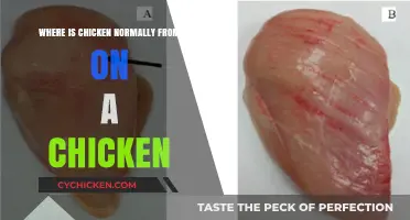 Understanding Chicken Anatomy: Where Does Chicken Meat Originate on the Bird?