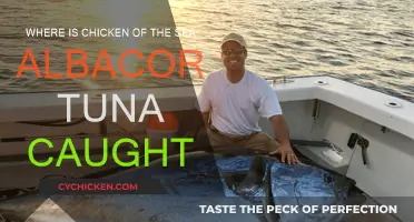 Chicken of the Sea: Albacore Tuna Origins