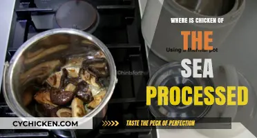 Where is Chicken of the Sea Processed? Uncovering the Journey