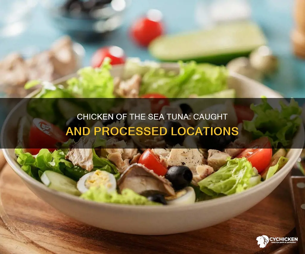 where is chicken of the sea tuna caught and processed