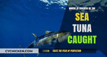 Where is Chicken of the Sea Tuna Caught? A Deep Dive
