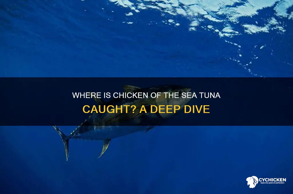 where is chicken of the sea tuna caught