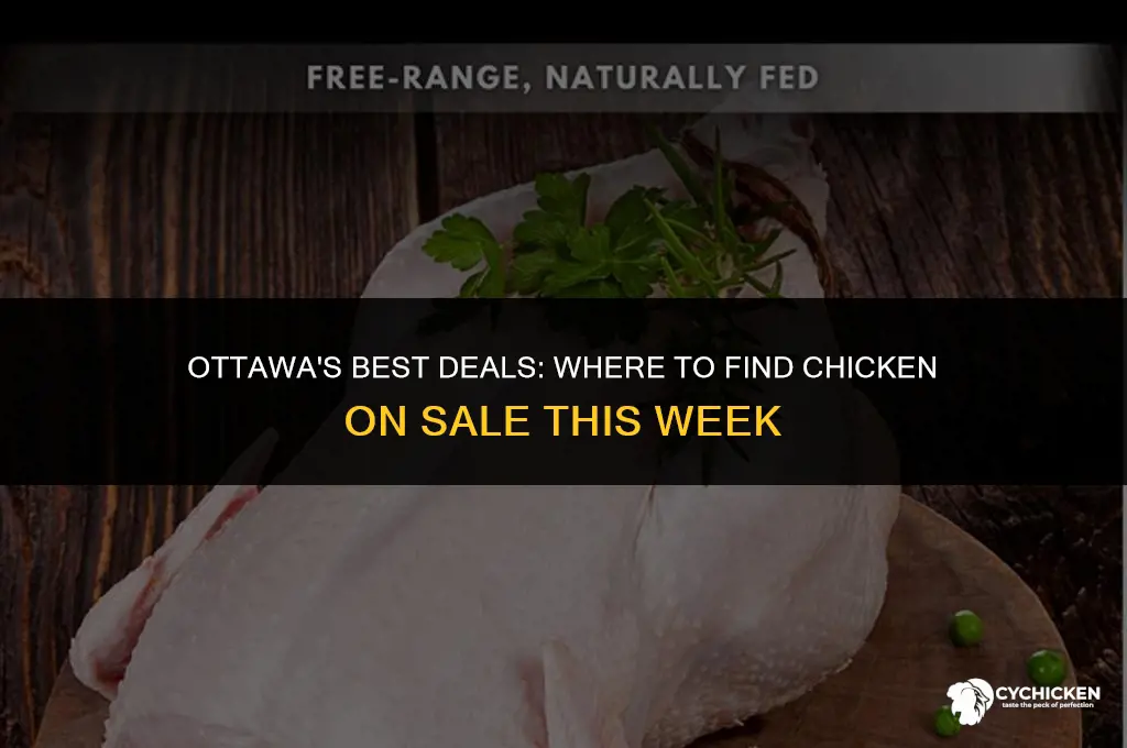 where is chicken on sale in ottawa