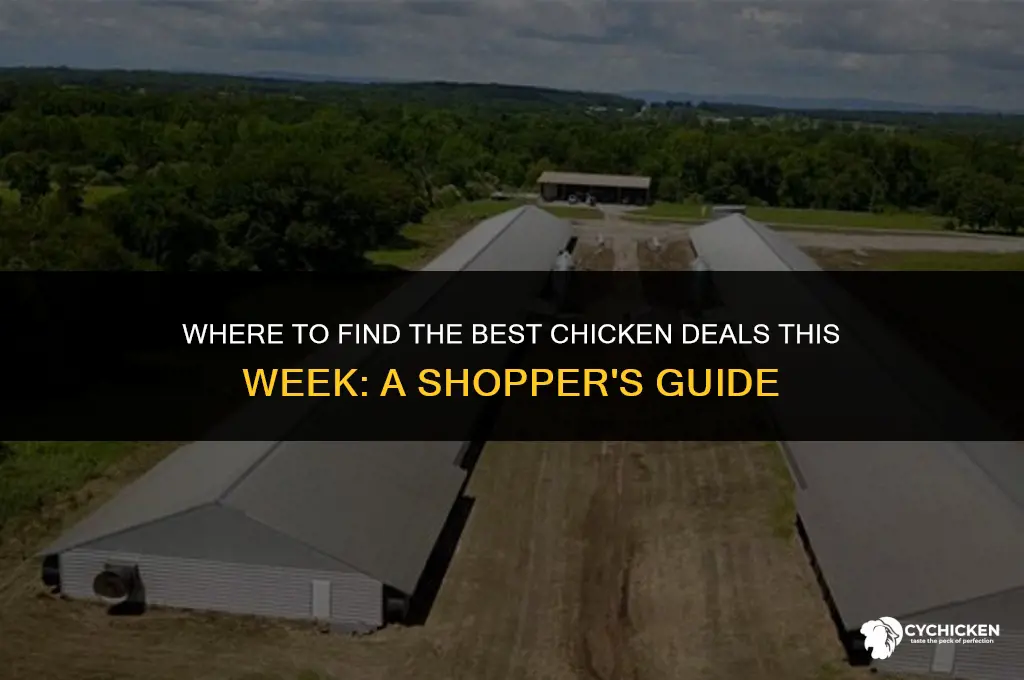 where is chicken on sale this week
