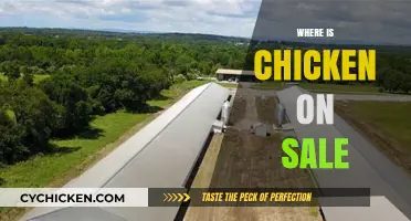Discover the Best Deals: Where to Find Chicken on Sale This Week
