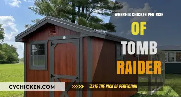Chicken Pen Location Guide in Rise of the Tomb Raider