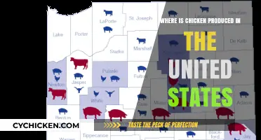 Mapping U.S. Poultry Production: Where Chicken is Produced in America