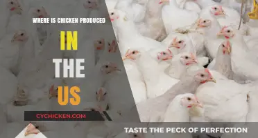 Mapping America's Poultry Production: Where Chicken is Produced in the US