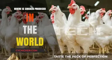 Global Chicken Production: Top Countries and Regional Insights