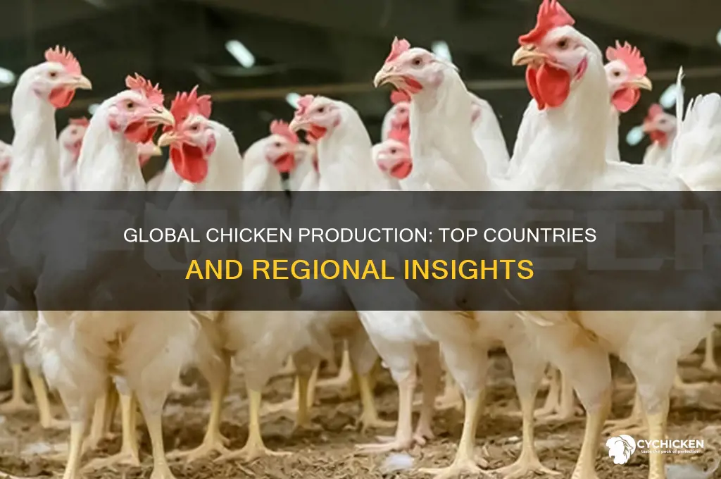 where is chicken produced in the world
