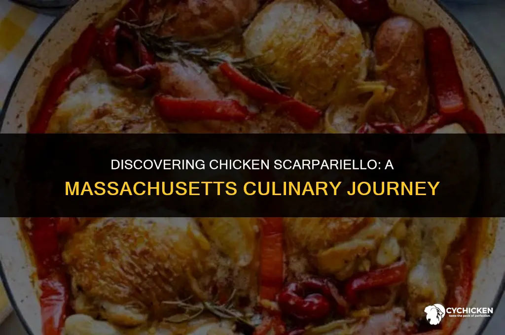 where is chicken scarpariello served in massachusetts