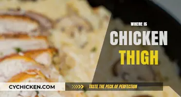 Where is Chicken Thigh: A Guide to Finding and Cooking This Cut