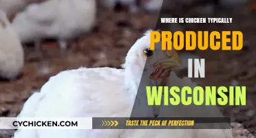 Wisconsin's Poultry Production: Key Regions for Chicken Farming Explored