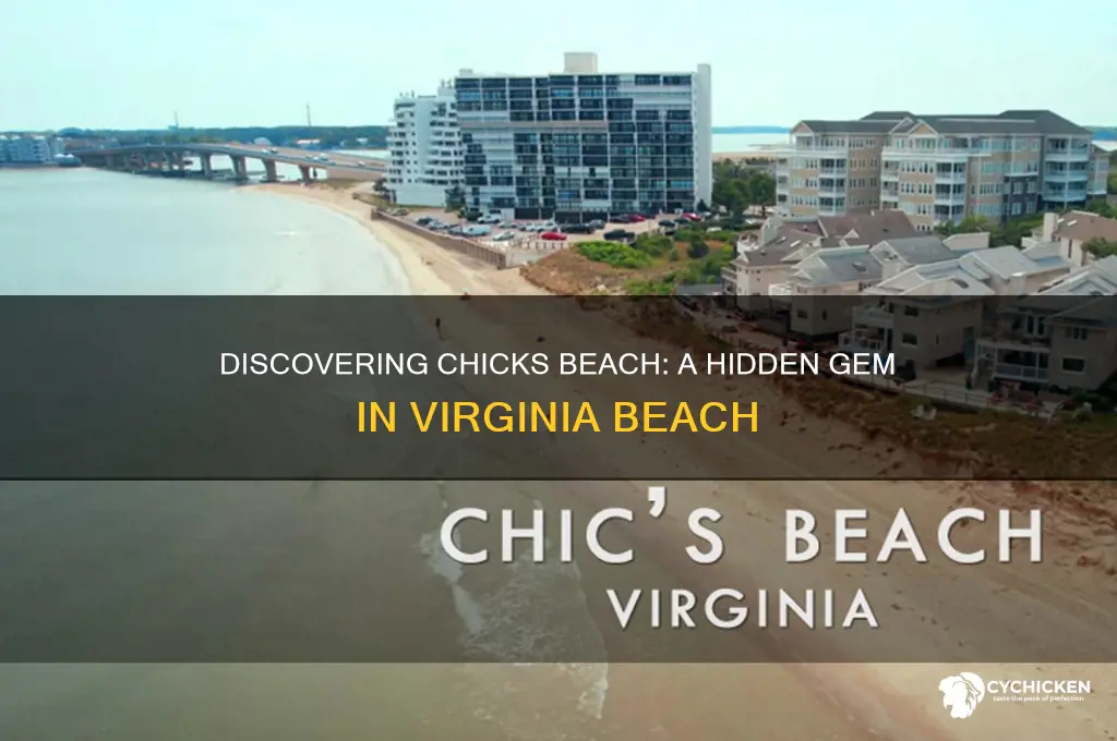 where is chicks beach in virginia beach