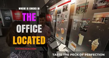 Where is Chicks in the Office Located? Uncovering the Studio's Address