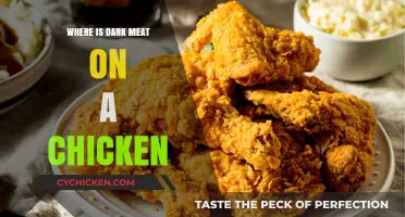 Where is Dark Meat on a Chicken: A Quick Guide