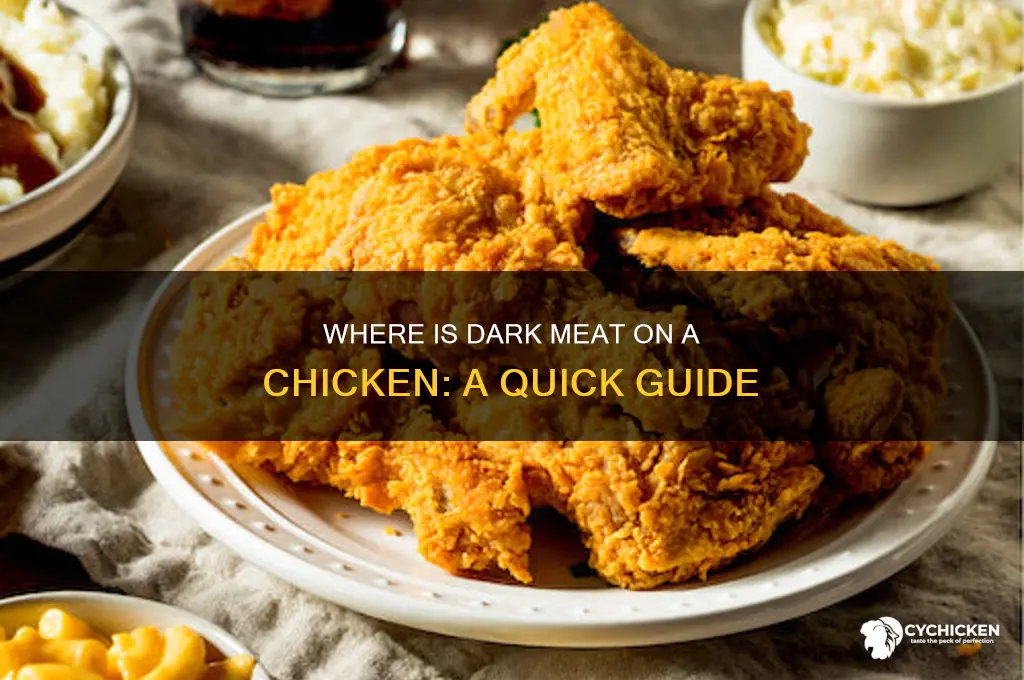 where is dark meat on a chicken