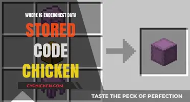 Where is Enderchest Data Stored in Code Chicken Core?