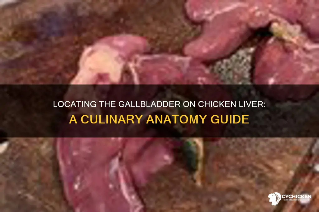 where is gall bladder on chicken liver