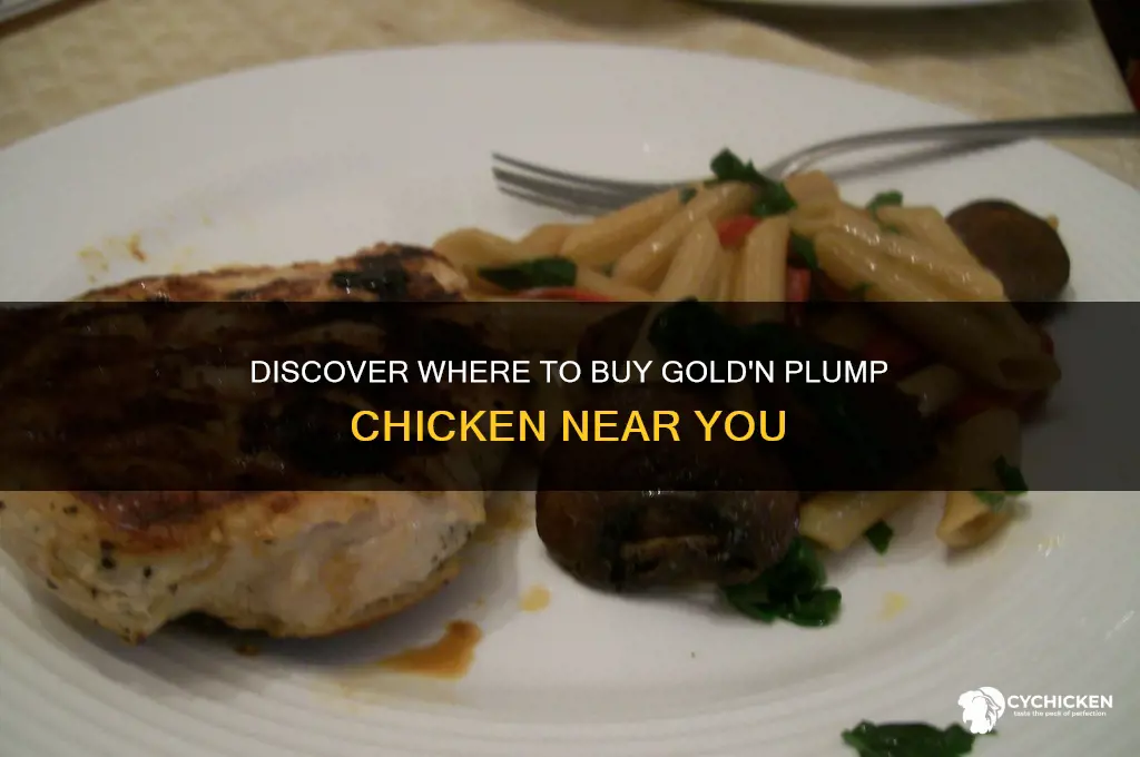 where is gold n plump chicken sold