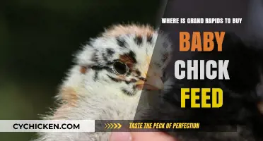 Where to Buy Baby Chick Feed in Grand Rapids: A Guide