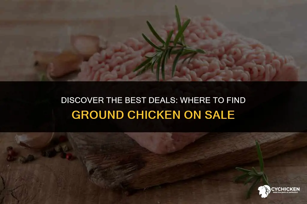 where is ground chicken on sale