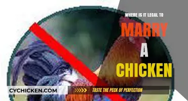 Clucking Unions: Exploring the Legality of Marrying Poultry Worldwide