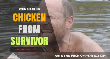 Uncovering Mark the Chicken's Survivor Origins: A Fan-Favorite Mystery