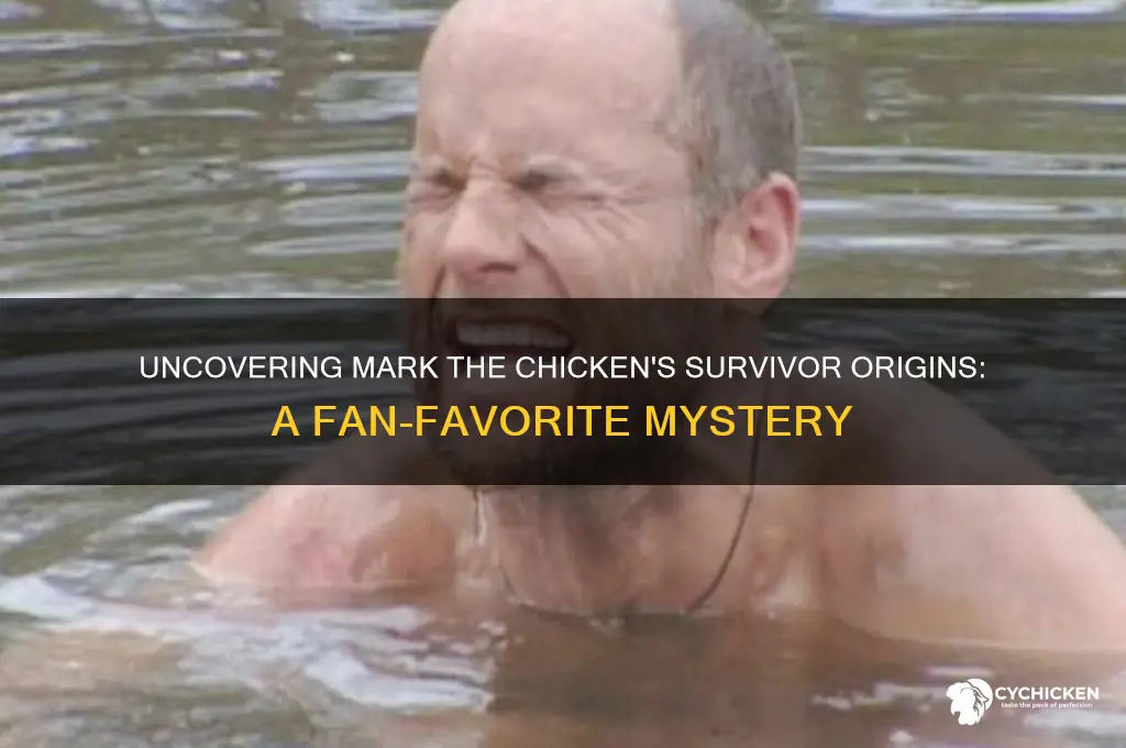 where is mark the chicken from survivor